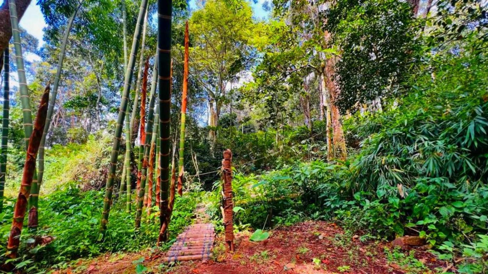 Bamboo Dale Resort, Муннар Экстерьер фото