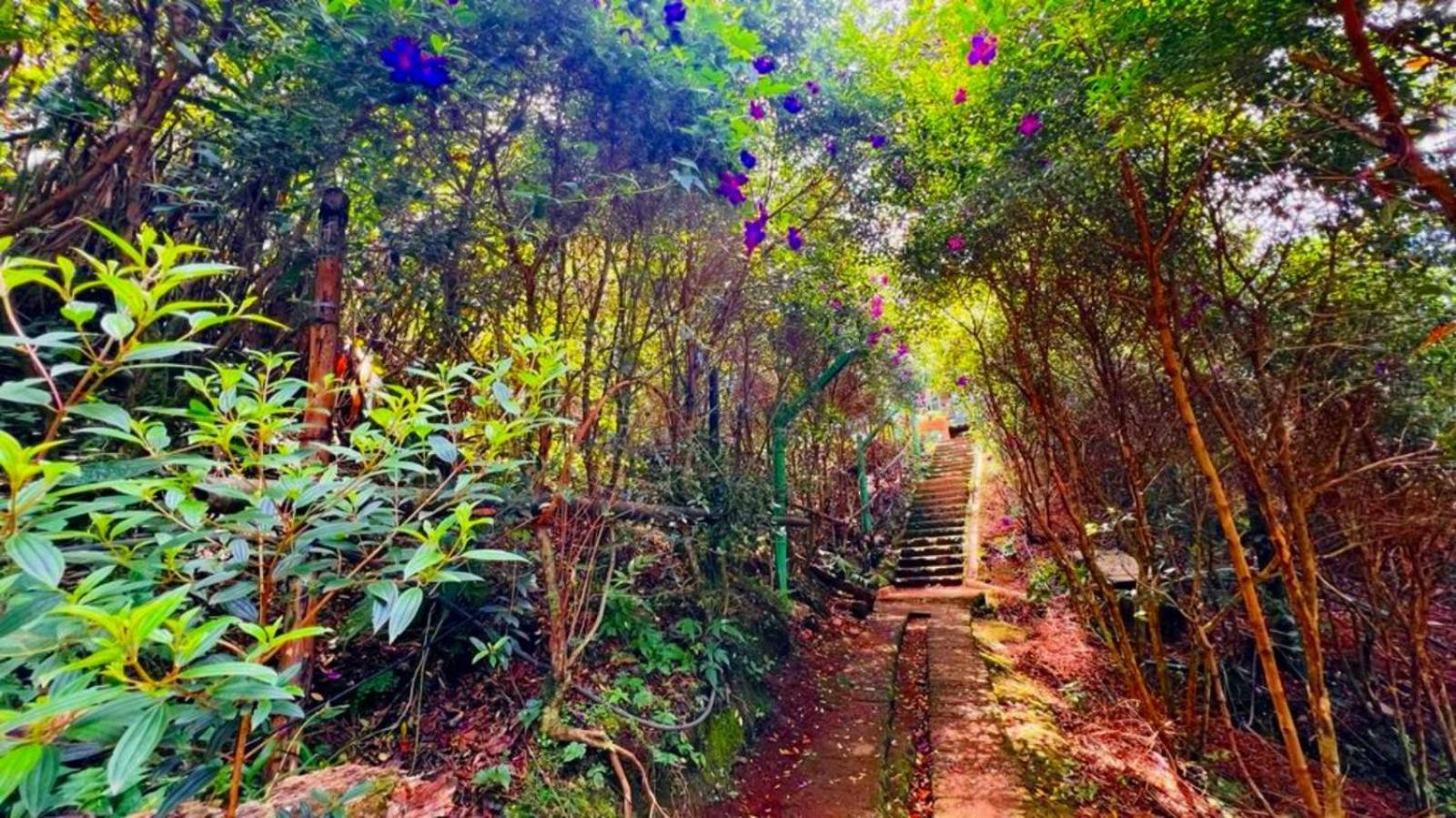 Bamboo Dale Resort, Муннар Экстерьер фото
