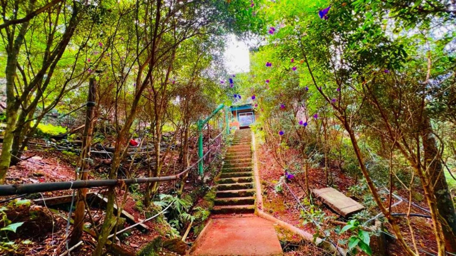 Bamboo Dale Resort, Муннар Экстерьер фото