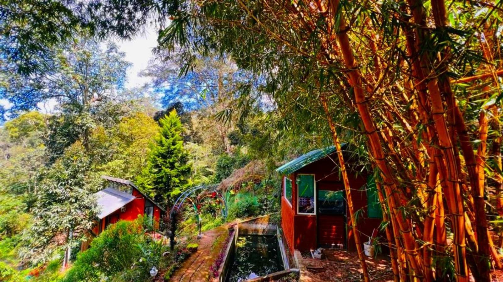 Bamboo Dale Resort, Муннар Экстерьер фото