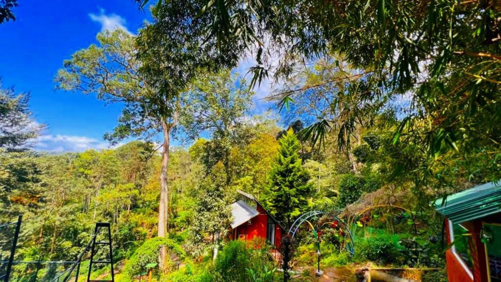 Bamboo Dale Resort, Муннар Экстерьер фото