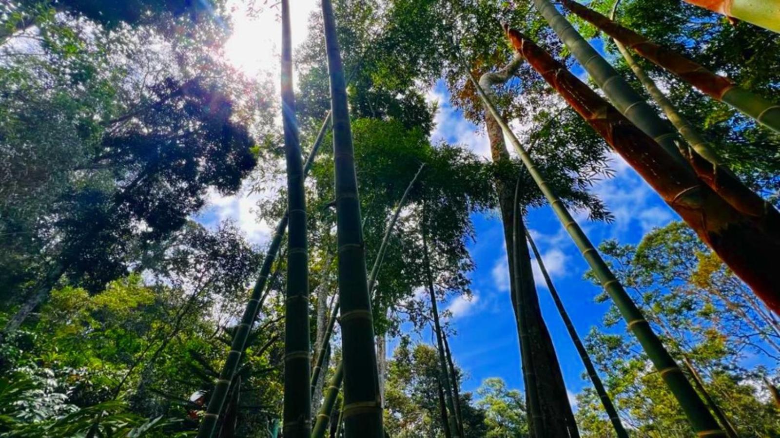 Bamboo Dale Resort, Муннар Экстерьер фото