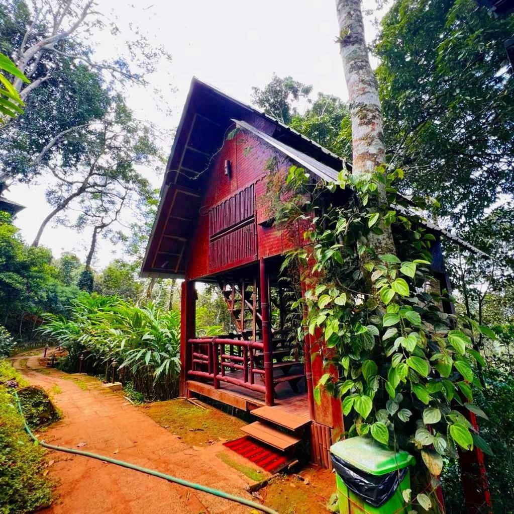 Bamboo Dale Resort, Муннар Экстерьер фото