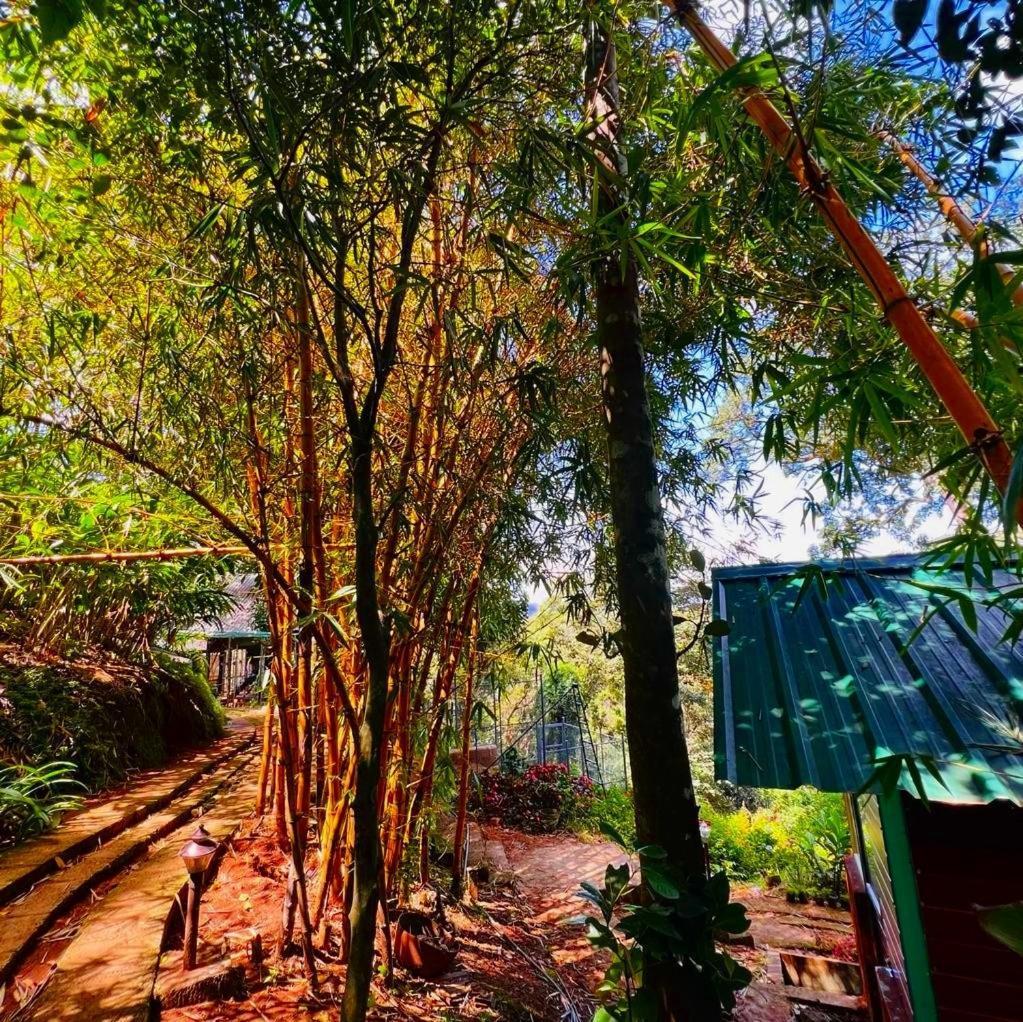 Bamboo Dale Resort, Муннар Экстерьер фото