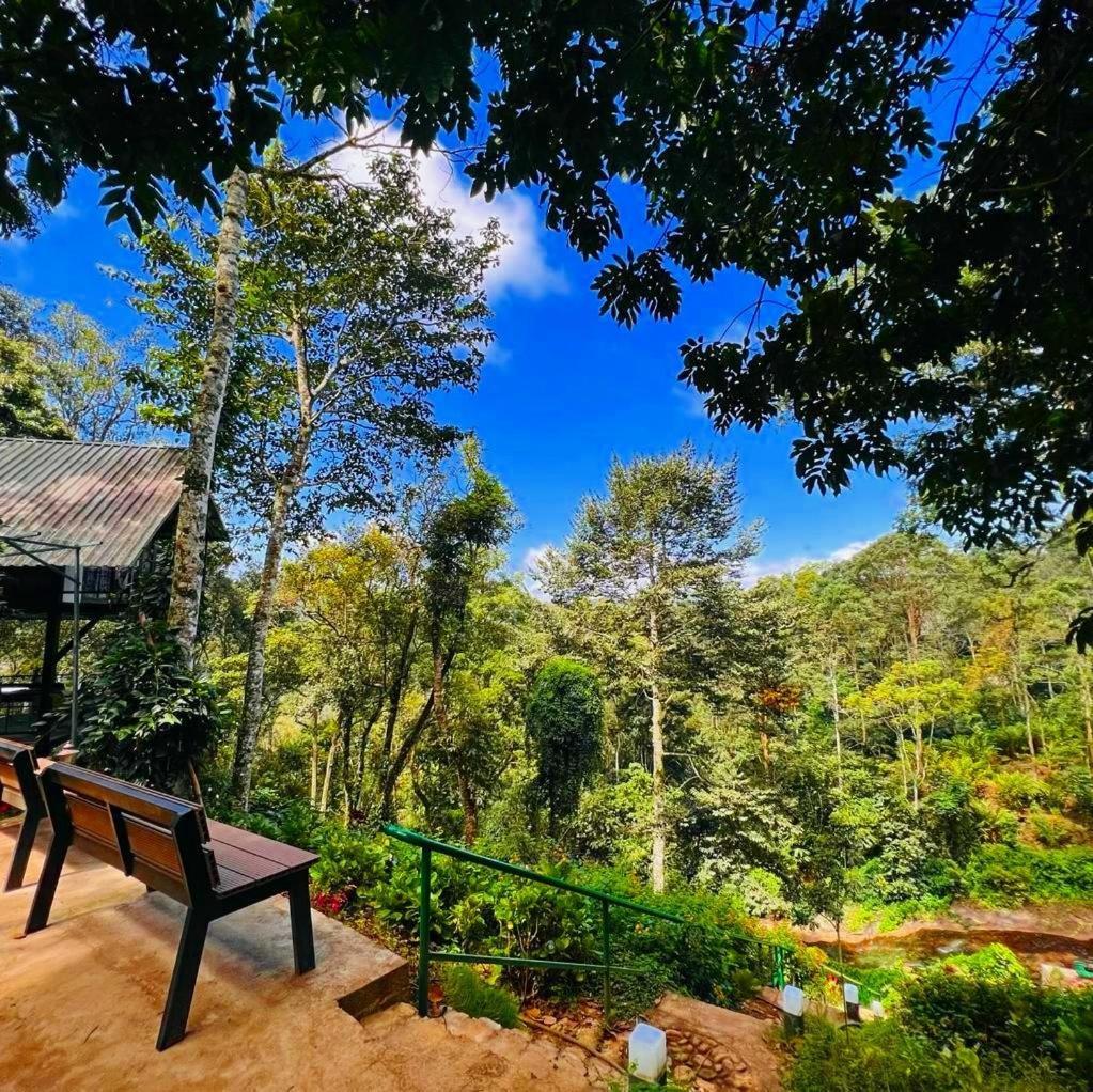 Bamboo Dale Resort, Муннар Экстерьер фото