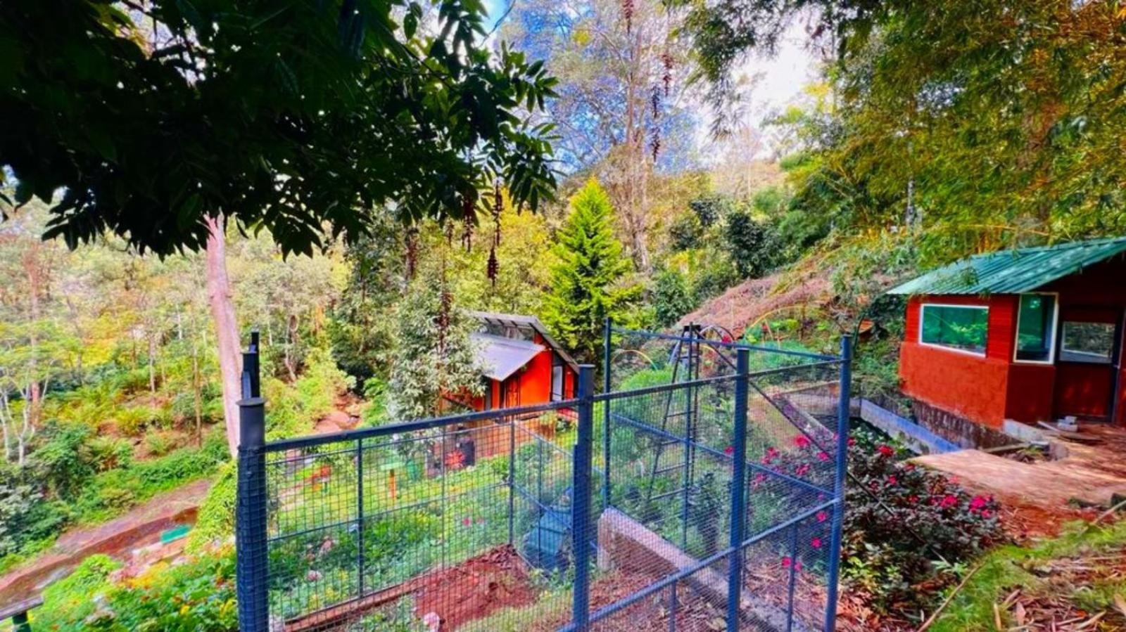 Bamboo Dale Resort, Муннар Экстерьер фото