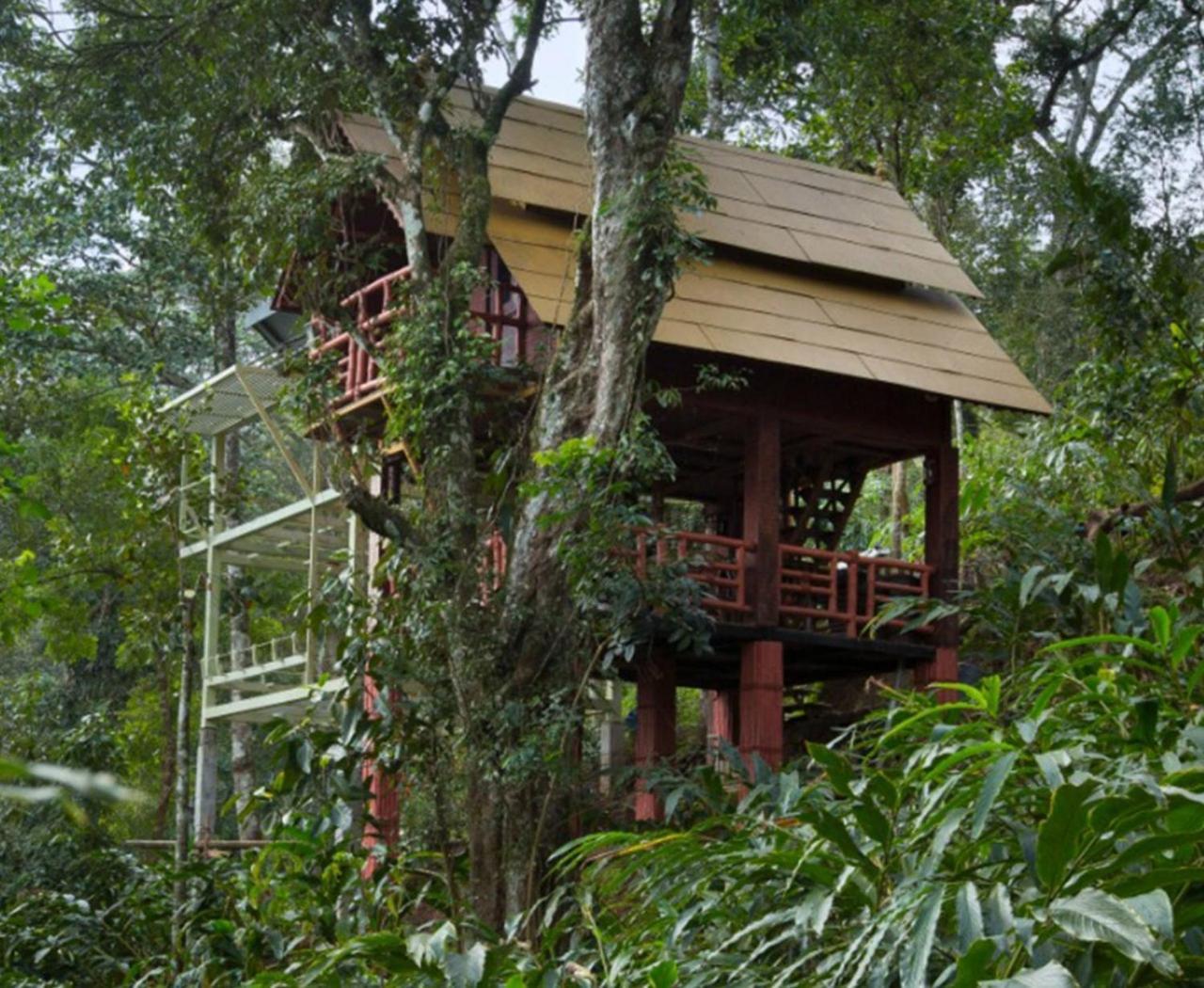 Bamboo Dale Resort, Муннар Экстерьер фото