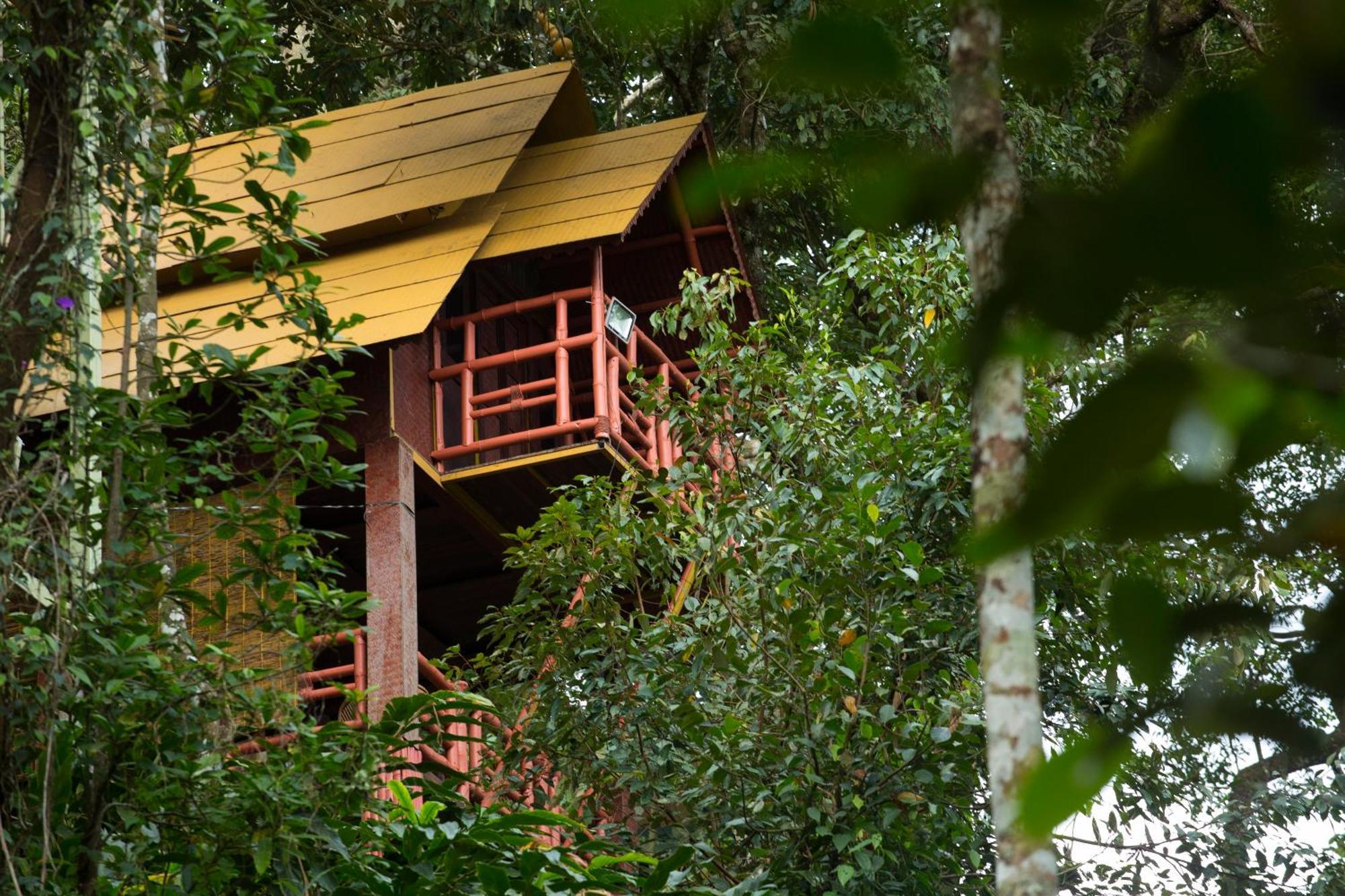 Bamboo Dale Resort, Муннар Экстерьер фото
